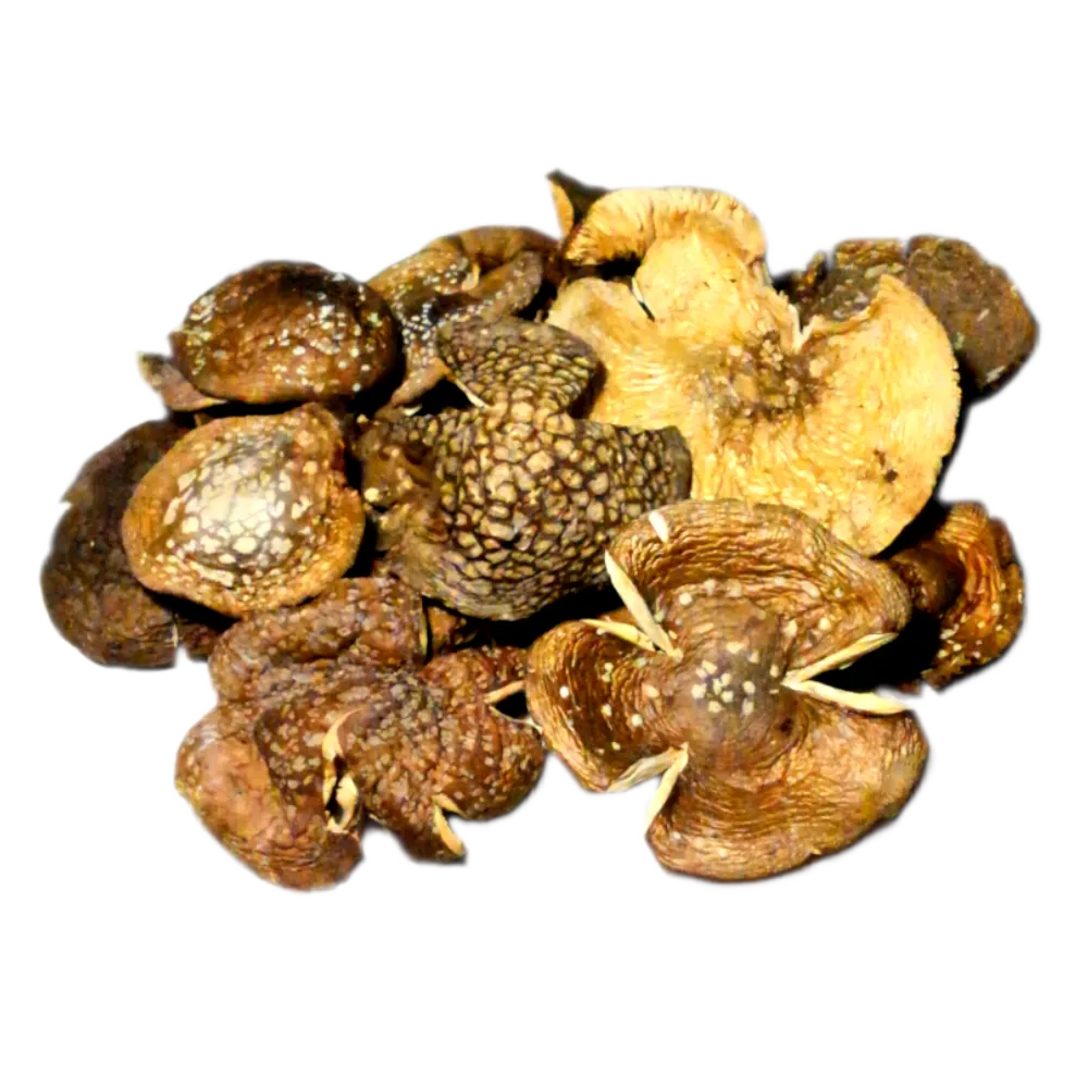 Пантерный мухомор сухой (Amanita Pantherina) — сухие шляпки