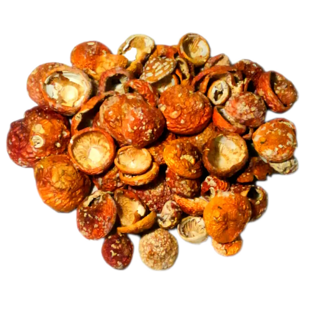 Красный мухомор сухой (Аманита Мускария) закрытые шляпки (50 г)